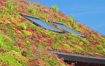 Osbaldeston Green living roof systems